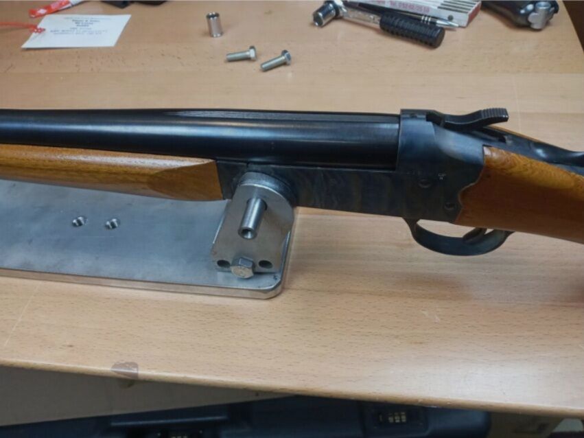 SAGA "Aigle royal" cartouche royale, cartouche d'oiseau