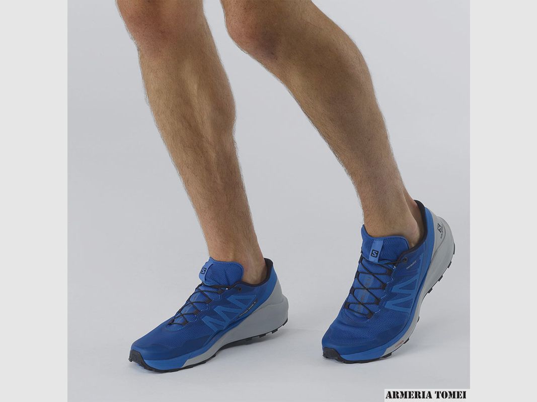 SALOMON – MEN – SENSE RIDE 4 Turkish Sea/Pearl Blue/Night Sky, image 5 of 5