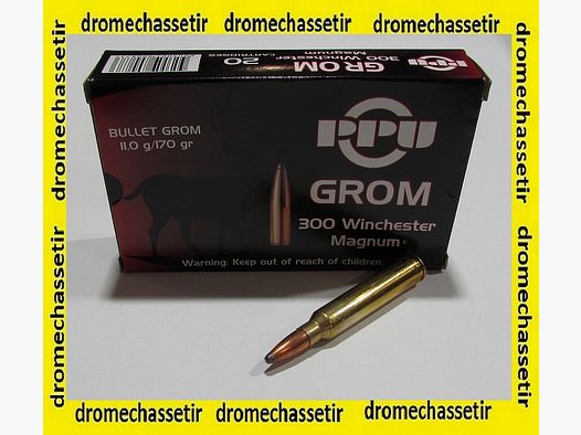 Doos van 20 patronen Partizan kal 300 Winchester Magnum 170 grains GROM