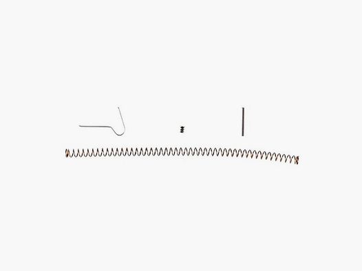 FIGHTLITE INDUSTRIES MCR UPPER SPRING REHAB KIT