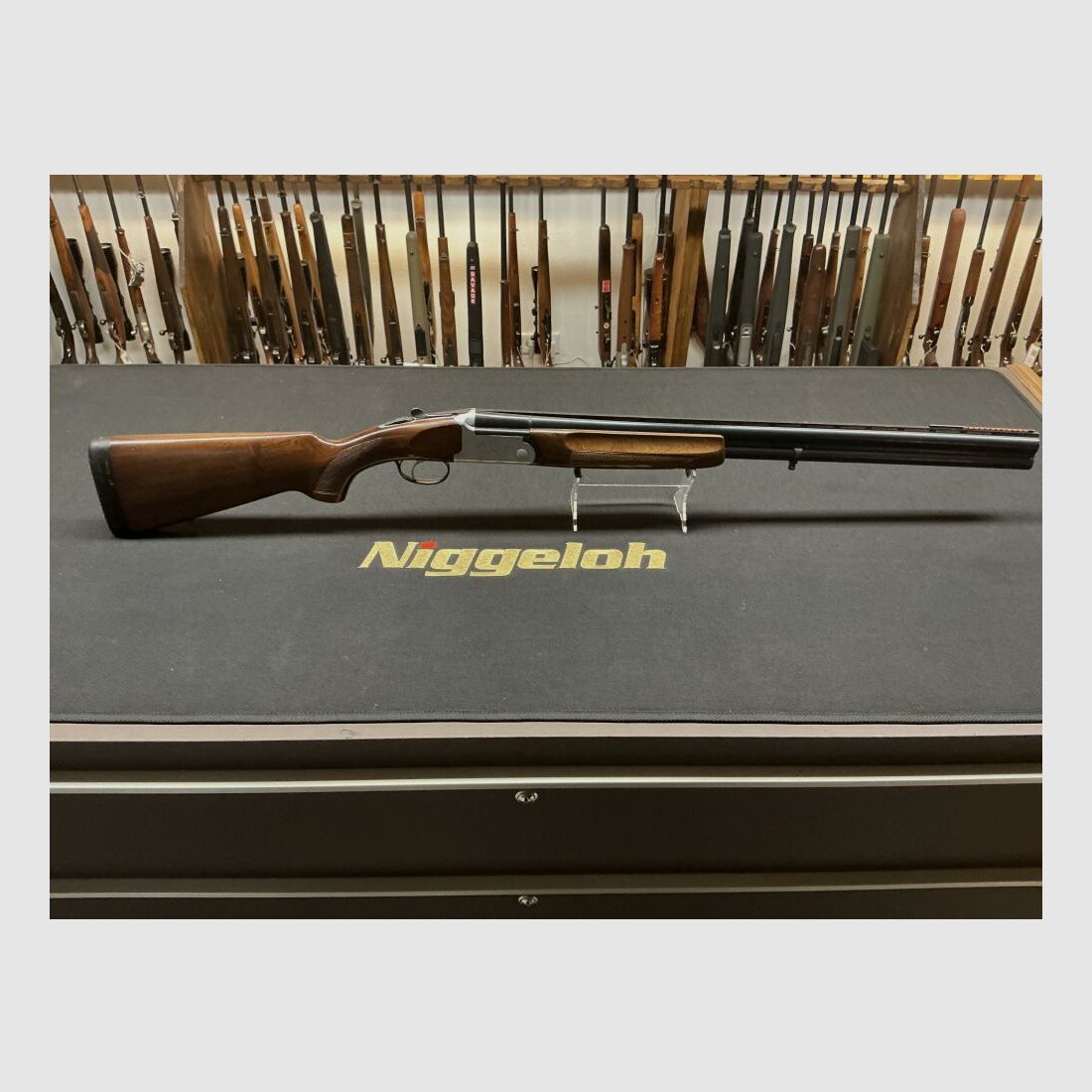 Gladius Adventure 12/70, image 1 of 10
