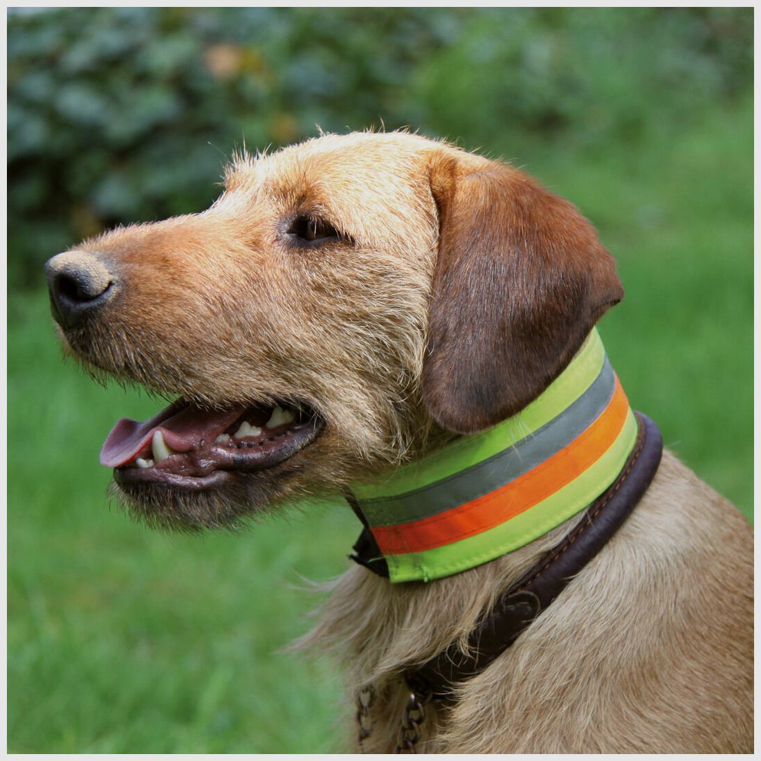 AKAH Reflecterend Halsband 50cm