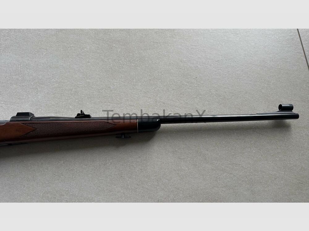 Interarms Marx X .30-06Spring