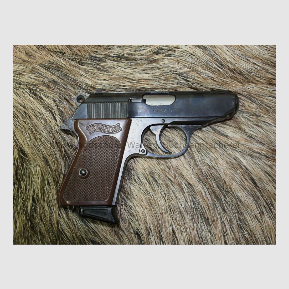 Walther PPK Kaliber .22 lr
