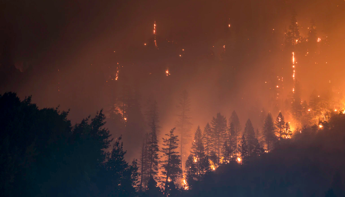 Achtung! Waldbrand!