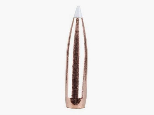 Proiettile Nosler Accubond .338/.338 250GR punta 50 pezzi