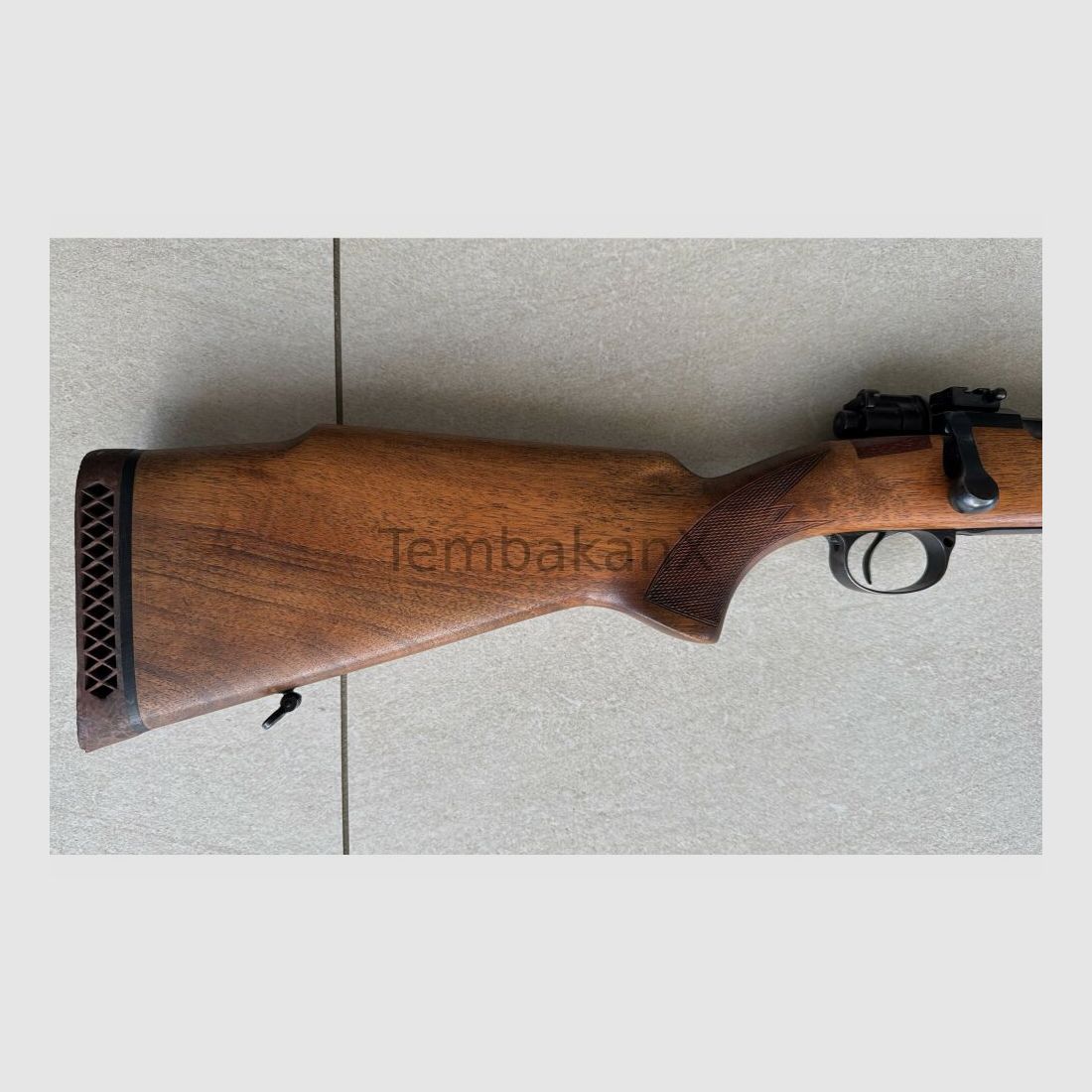 Mauser 1909 9.3x62