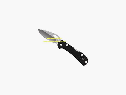 Buck - mini Spitfire noir