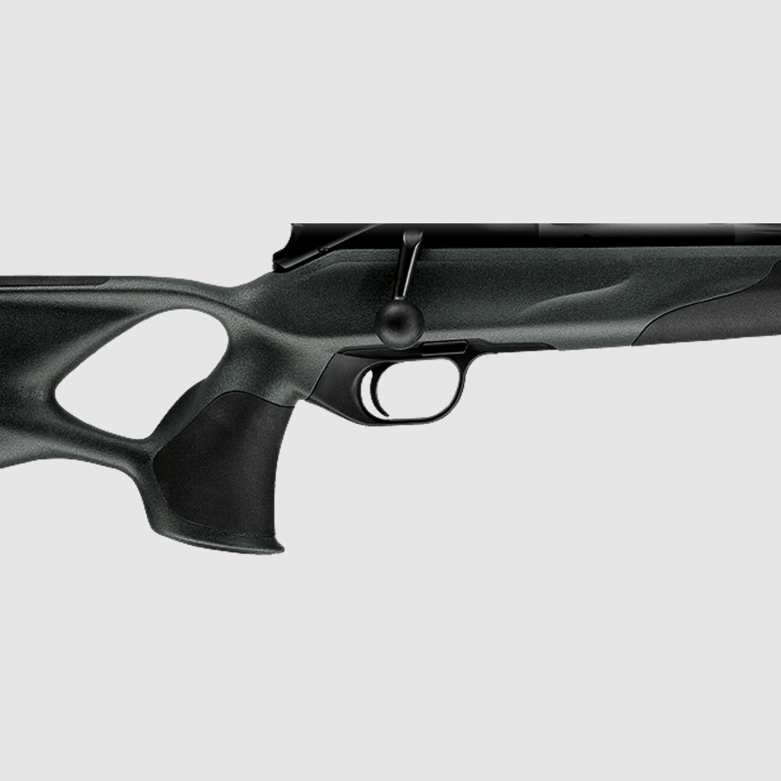 Blaser R8 Professional Success