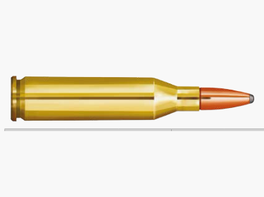 Partizan 243 Winchester SP 100gr