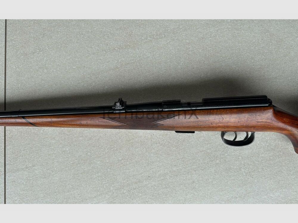 Anschütz Stutzen .22lr