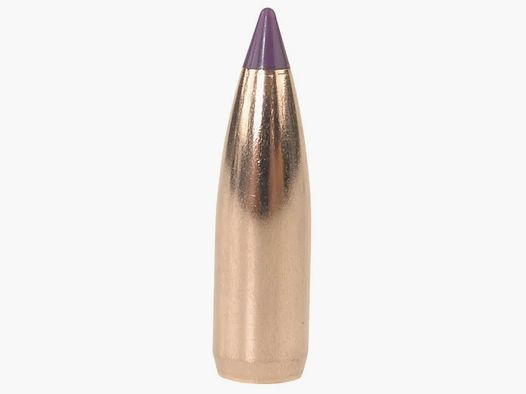 Nosler Geschoss Ballistic Tip Varmint 6mm/.243 70GR Spitzer 250 Stück