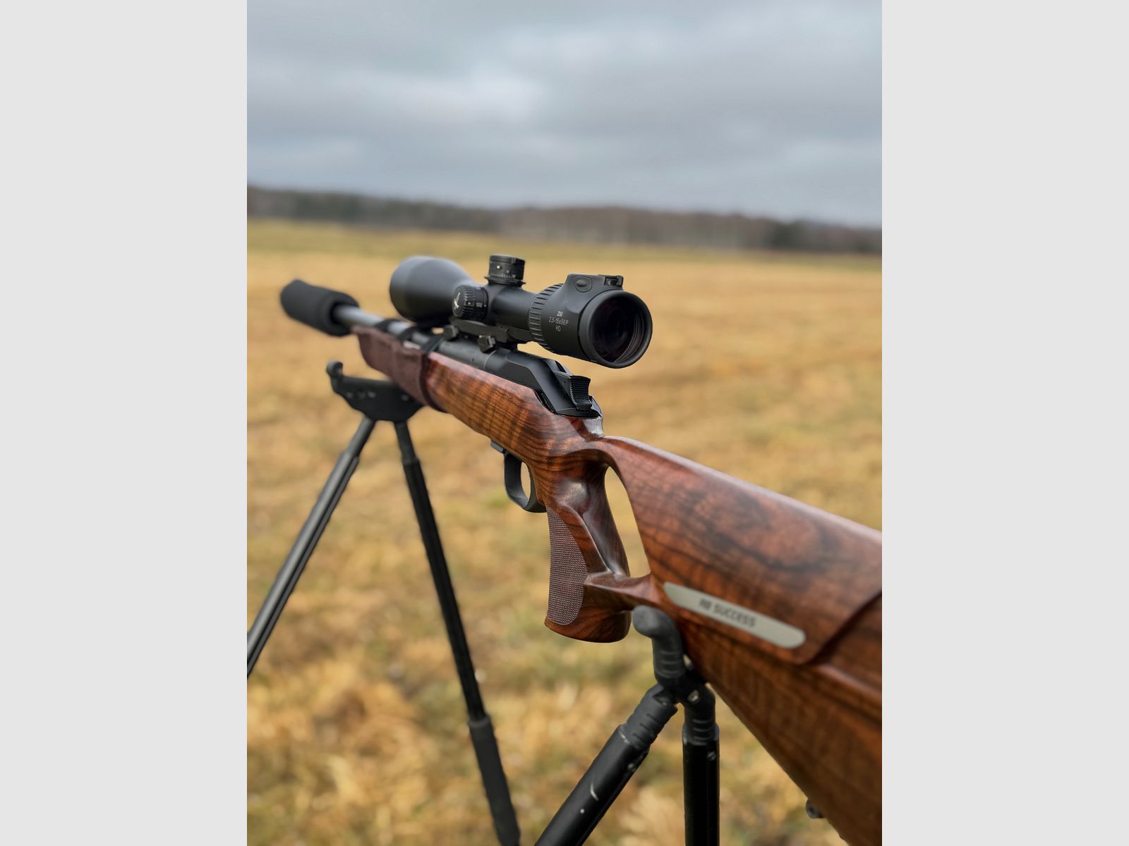 Blaser R8 Success Mono Wood