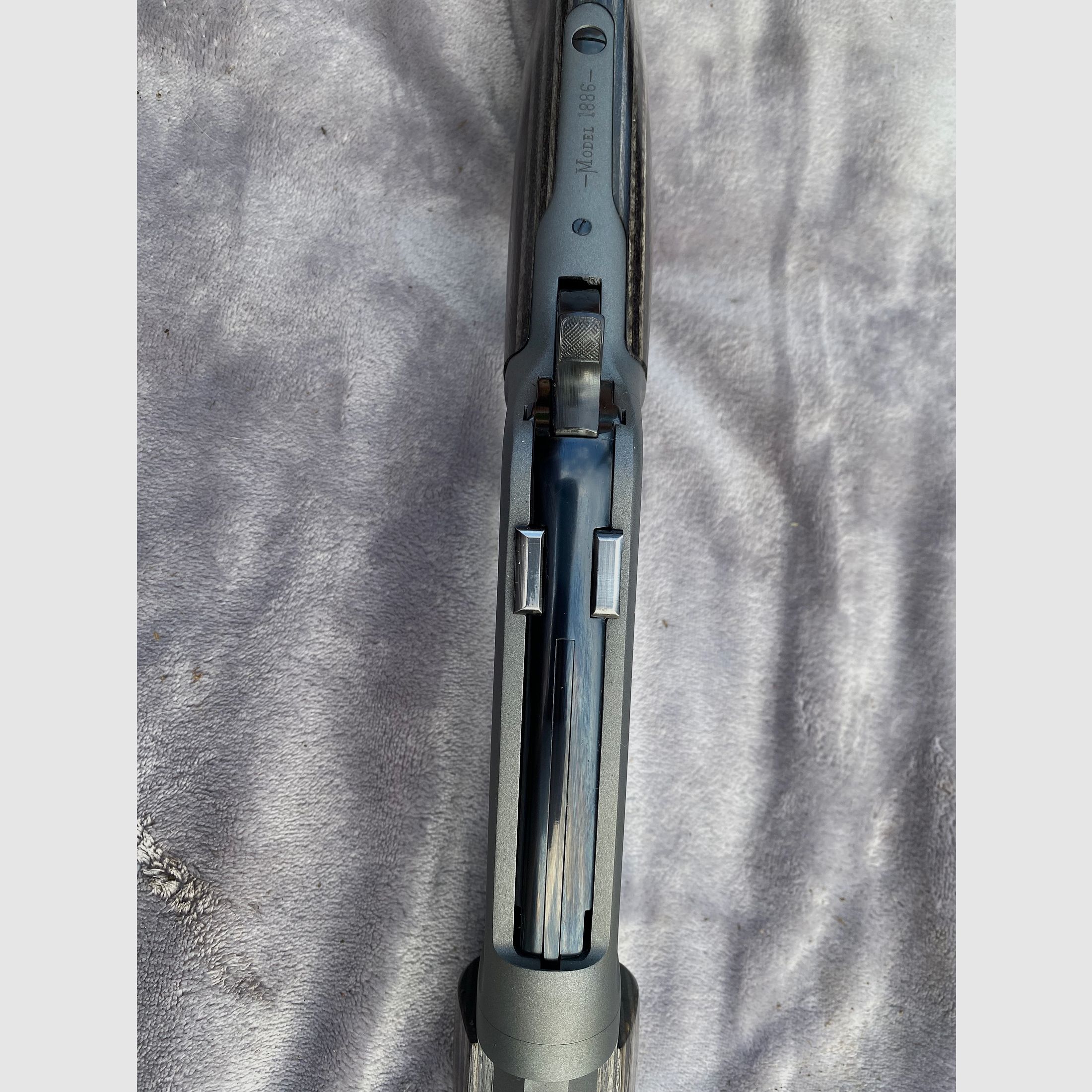 Chiappa Wildlands 45-70 Government, Take Down