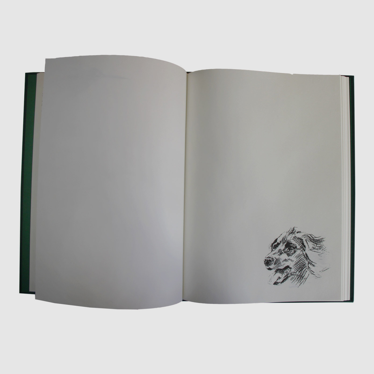 Schuss- und Jagdtagebuch