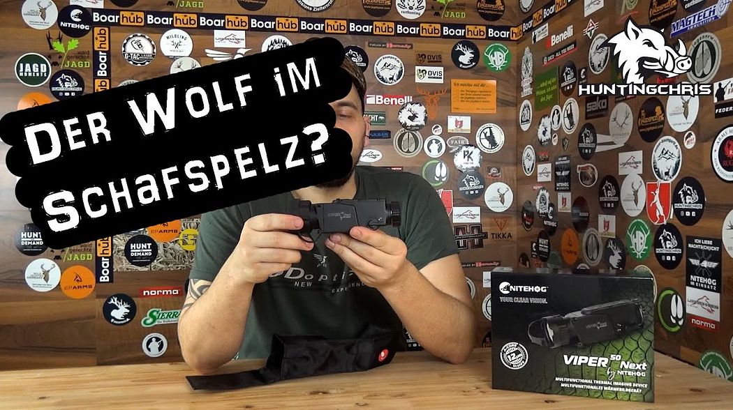 Nitehog Viper 50 Next // Der Wolf im Schafspelz?