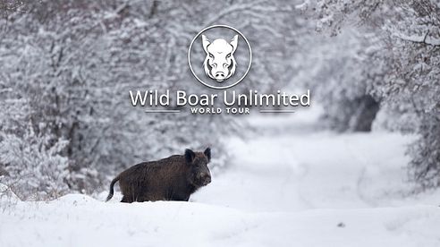 Wild Boar Unlimited