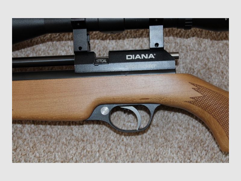 Diana Stormrider PCP