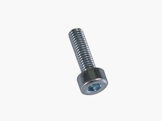Forestry lens head screw M3x10