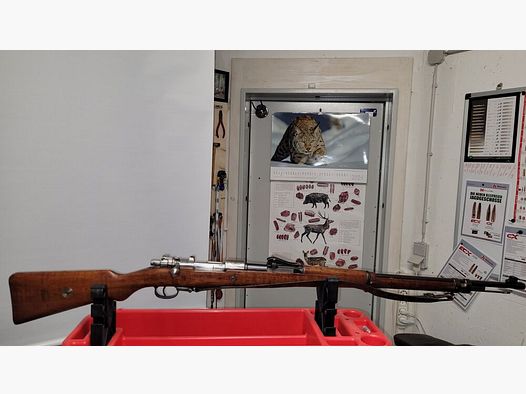 Mauser 1909 Argentino