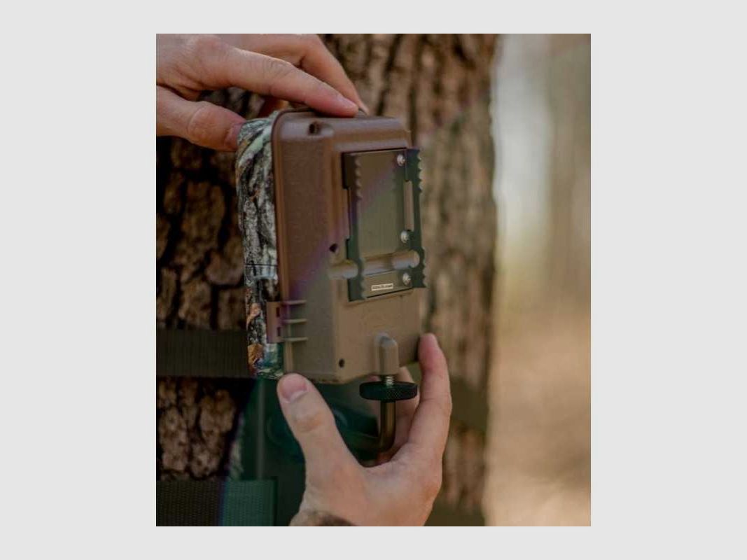 Supporto da Alberi BTCTM Browning, immagine 2 di 3