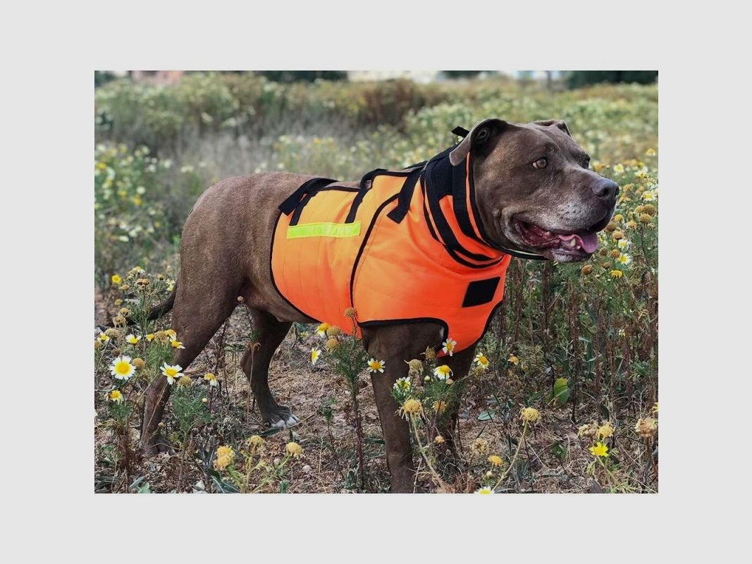 Gilet ÉLITE Bulwark - petites races, image 9 sur 39