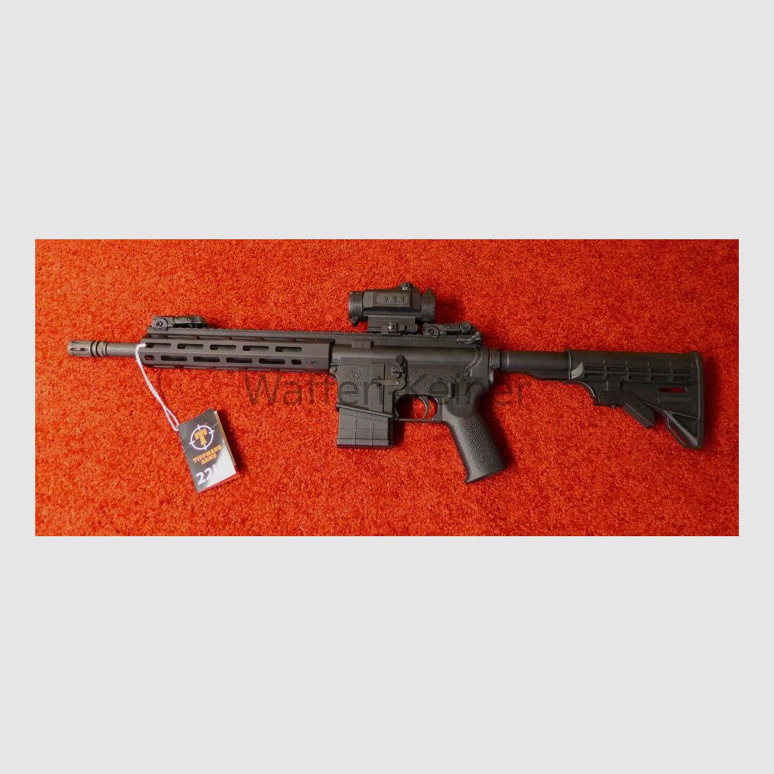 Tippmann Arms Modell M4-22 Elite S