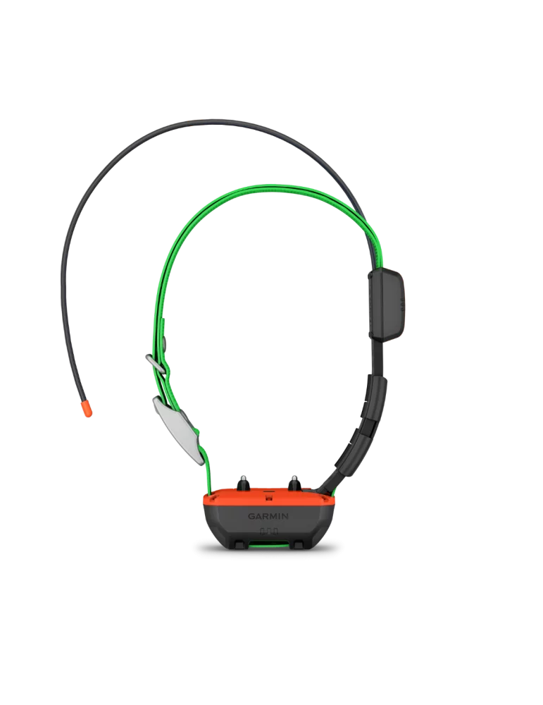 Garmin TT25F Tracking- und Trainingshalsband