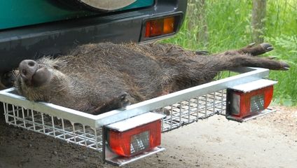 Heck Pack - Heckträger - und das Auto bleibt sauber! 