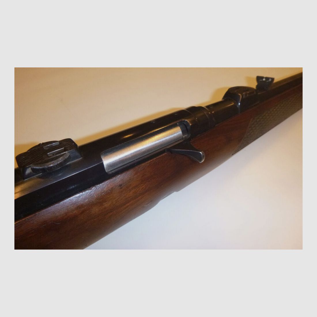 Winchester 100