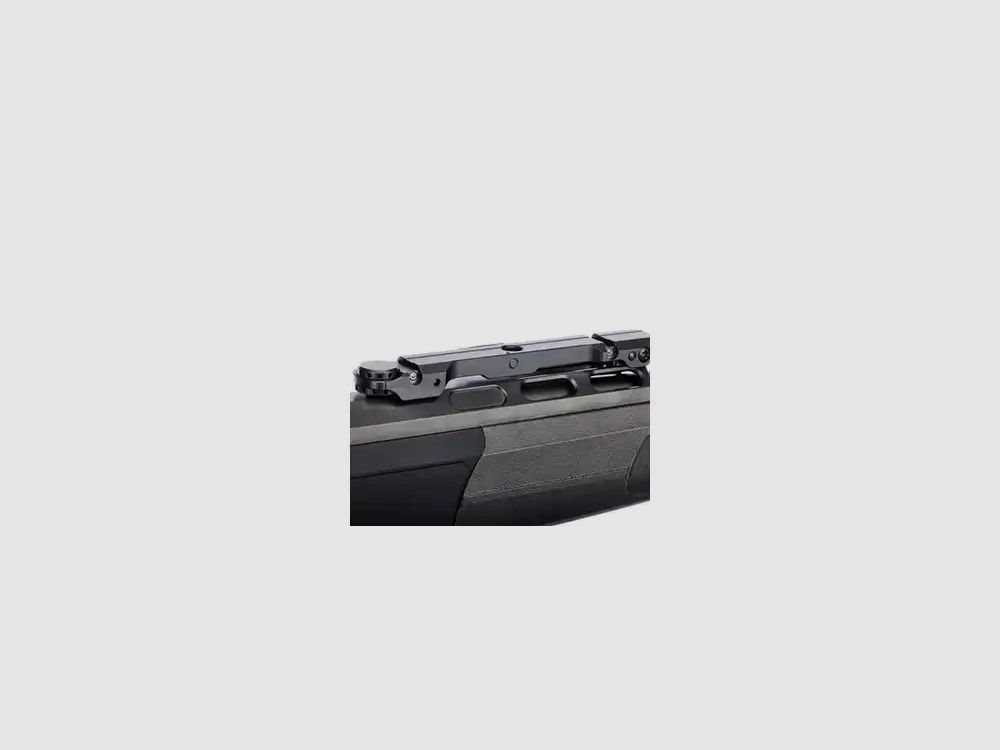 Dentler DR21 with basic rail Vario