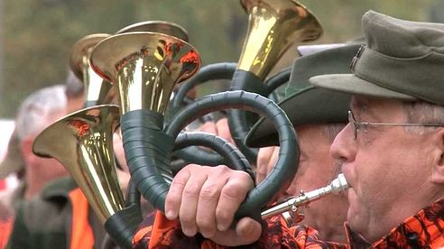 Shooting driven mouflon in Germany