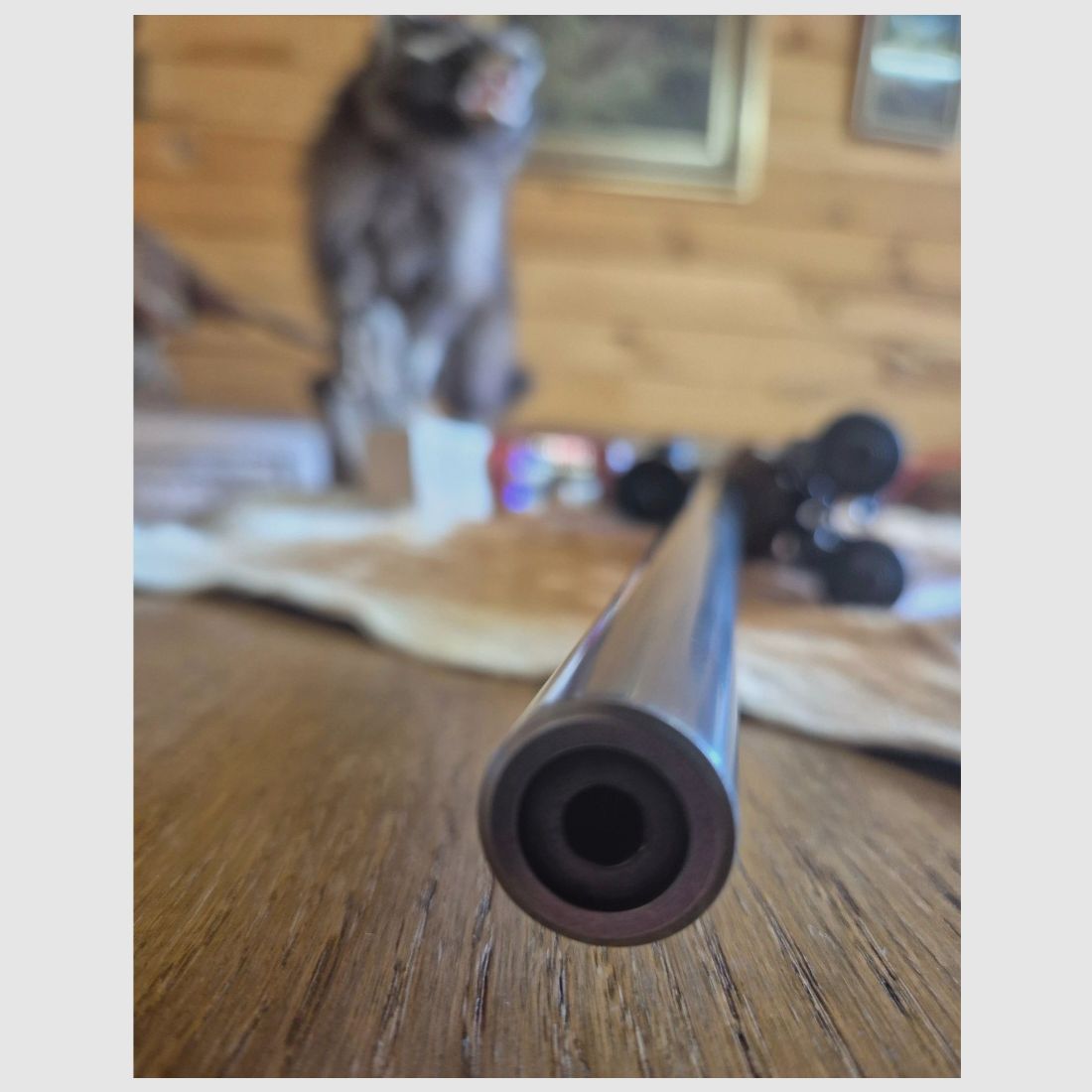 Ruger M77 MK2 VT Varmint/Target SS 223 REM in very good condition Harris Ultra Light bipod, image 6 of 10