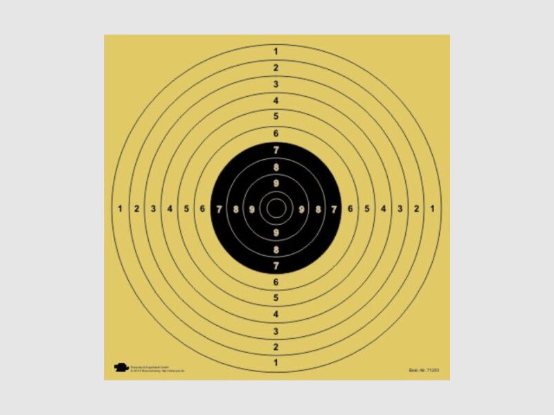Bersaglio fessurato per piccolo calibro/pistola/ISSF 55 x 55 cm (confezione da 100)
