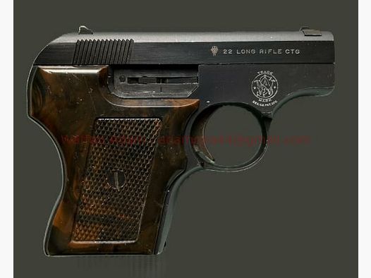 Smith & Wesson Mod. 61, Escort, Pocket