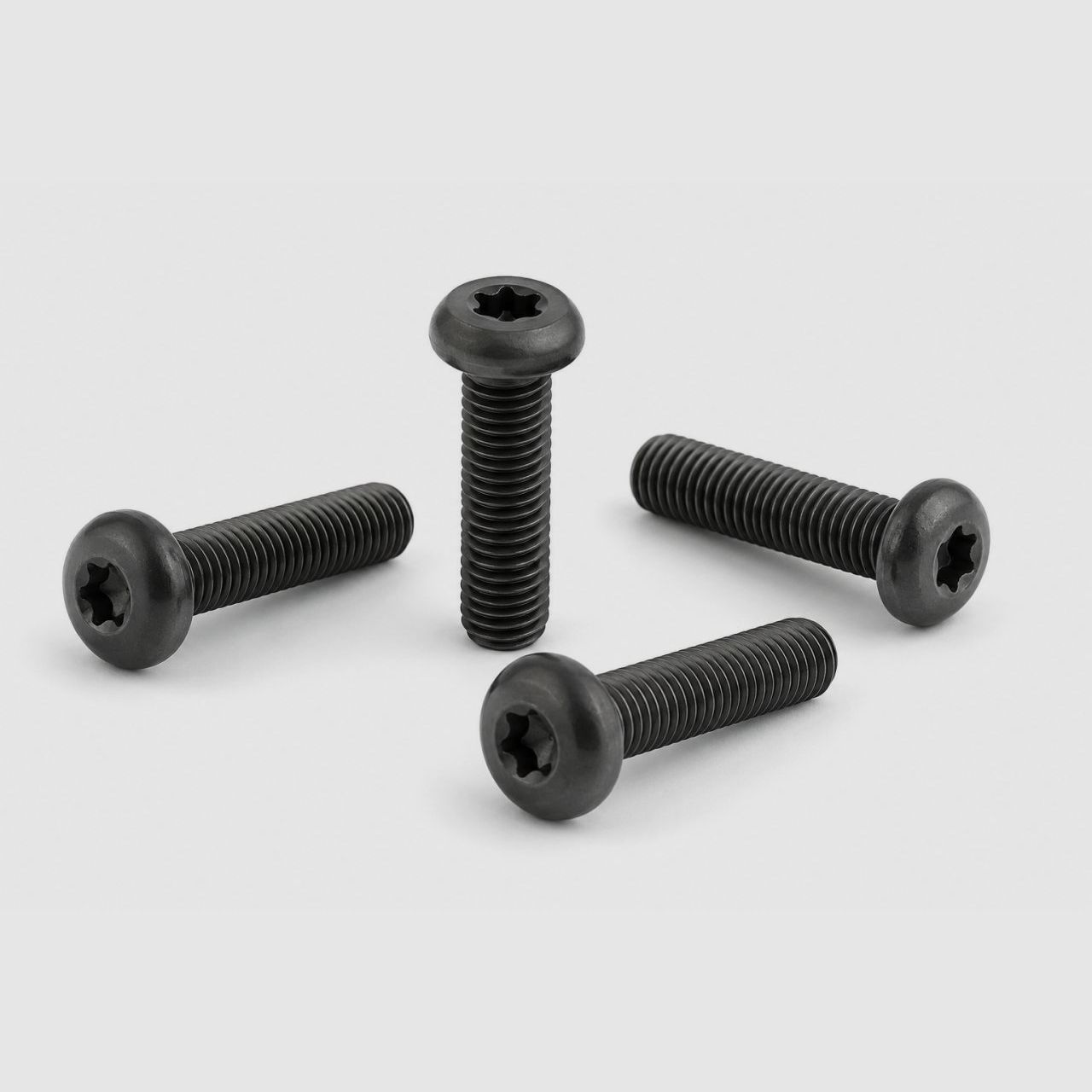 Spuhr Schrauben für Spannpratze M5x25 TX20 - 4 Stück