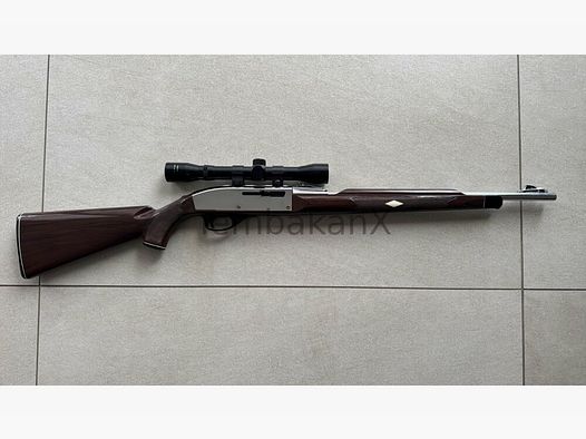 Remington Nylon 66 .22lr