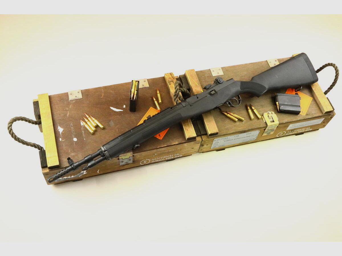 Springfield M1A Scout Squad, image 1 sur 4