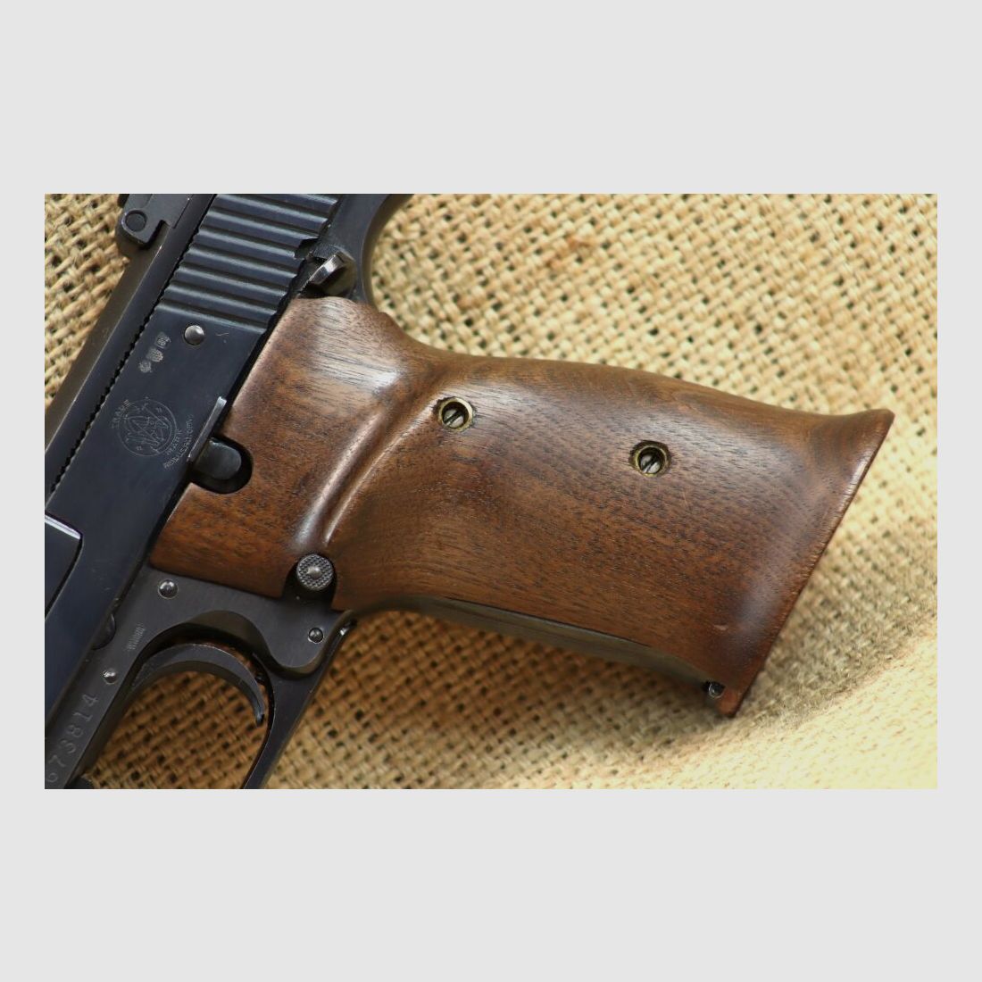 Smith & Wesson 41 .22lr