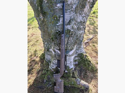Bergara B14 HMR in caliber 6.5 Creedmoor 22 inch barrel with M15x1 thread