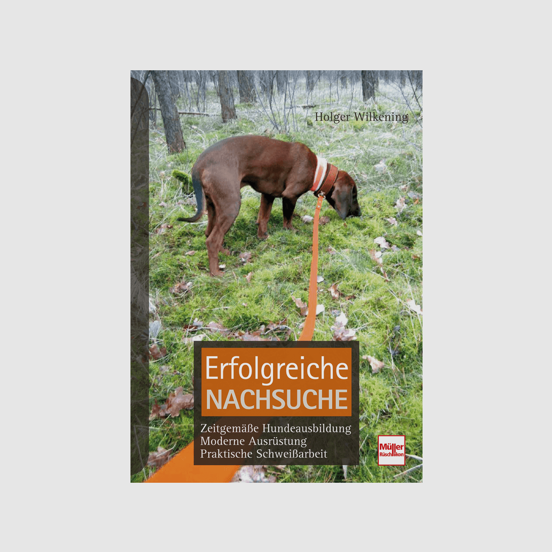 Erfolgreiche Nachsuche