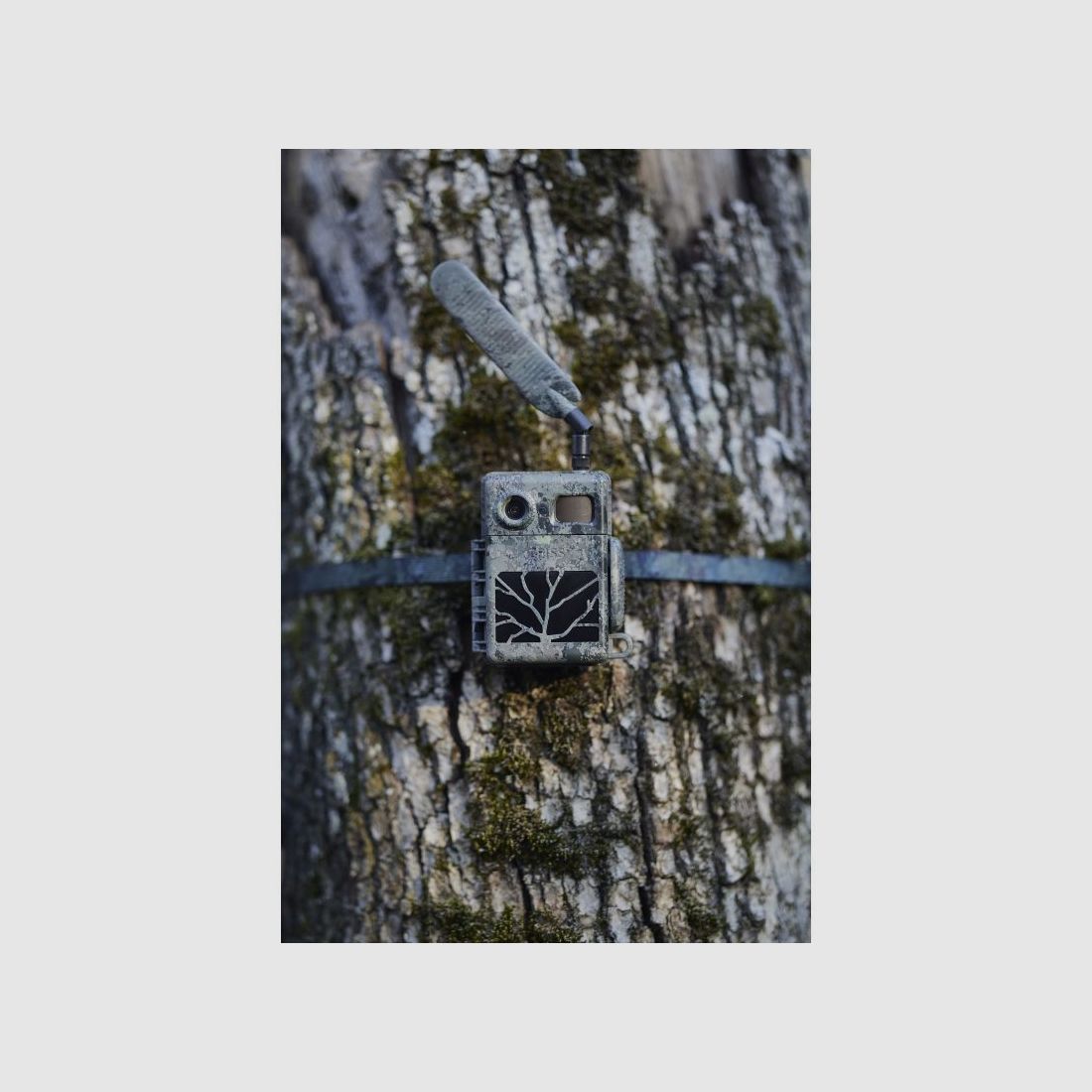 Zeiss Secacam 7 3er Bundle