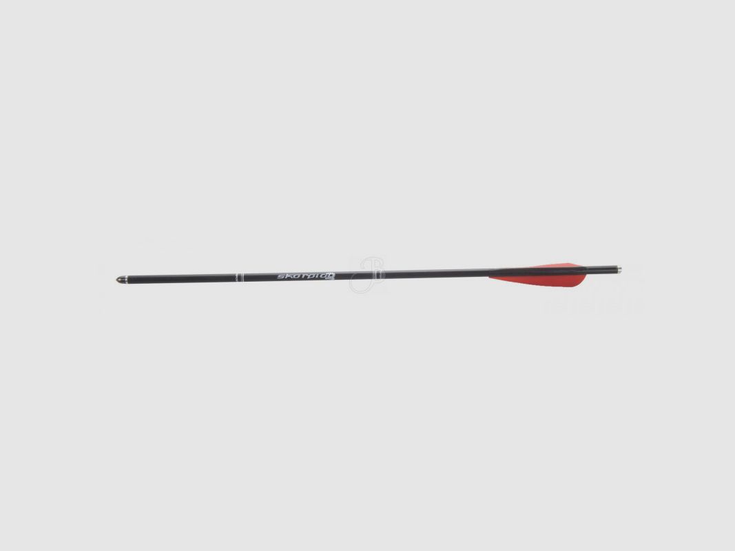 SKORPION DARDI FIBER BOW, image 1 of 2