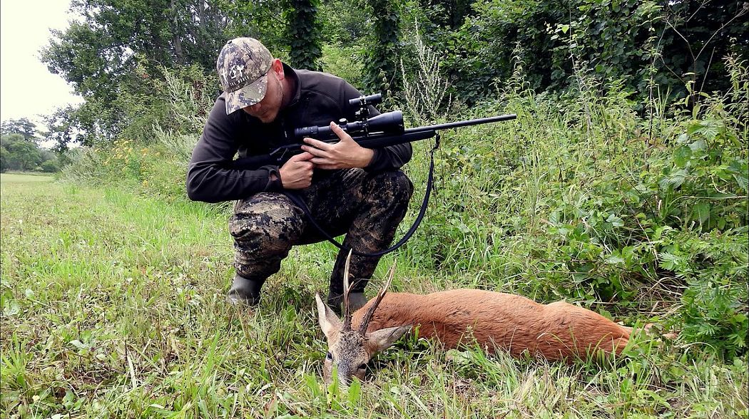 Czech Roebuck 2017 English