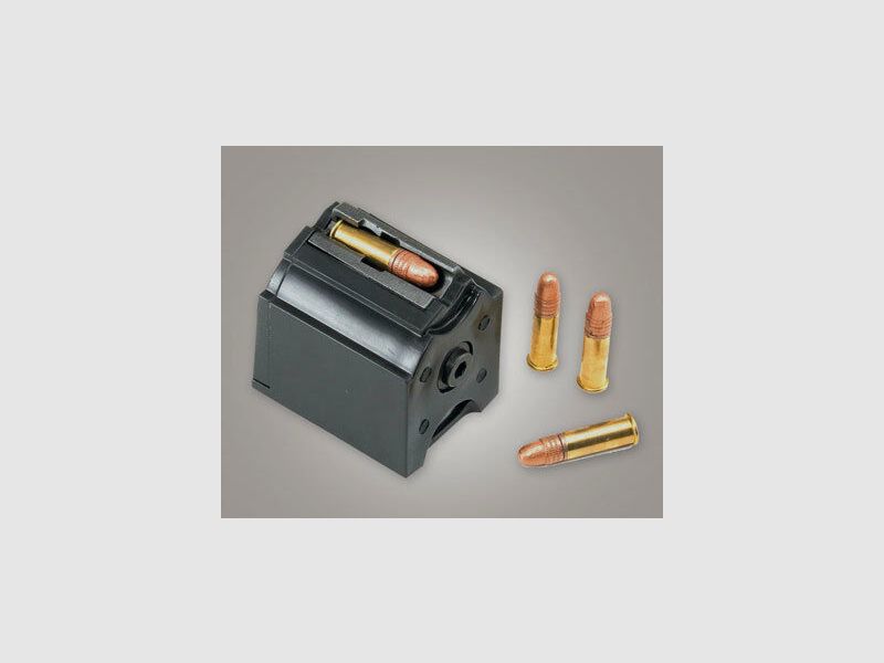 Ruger semi-automatic rifle RUGER 10/22 DSP Sporter self-loading rifle .22 lfB / .22LR