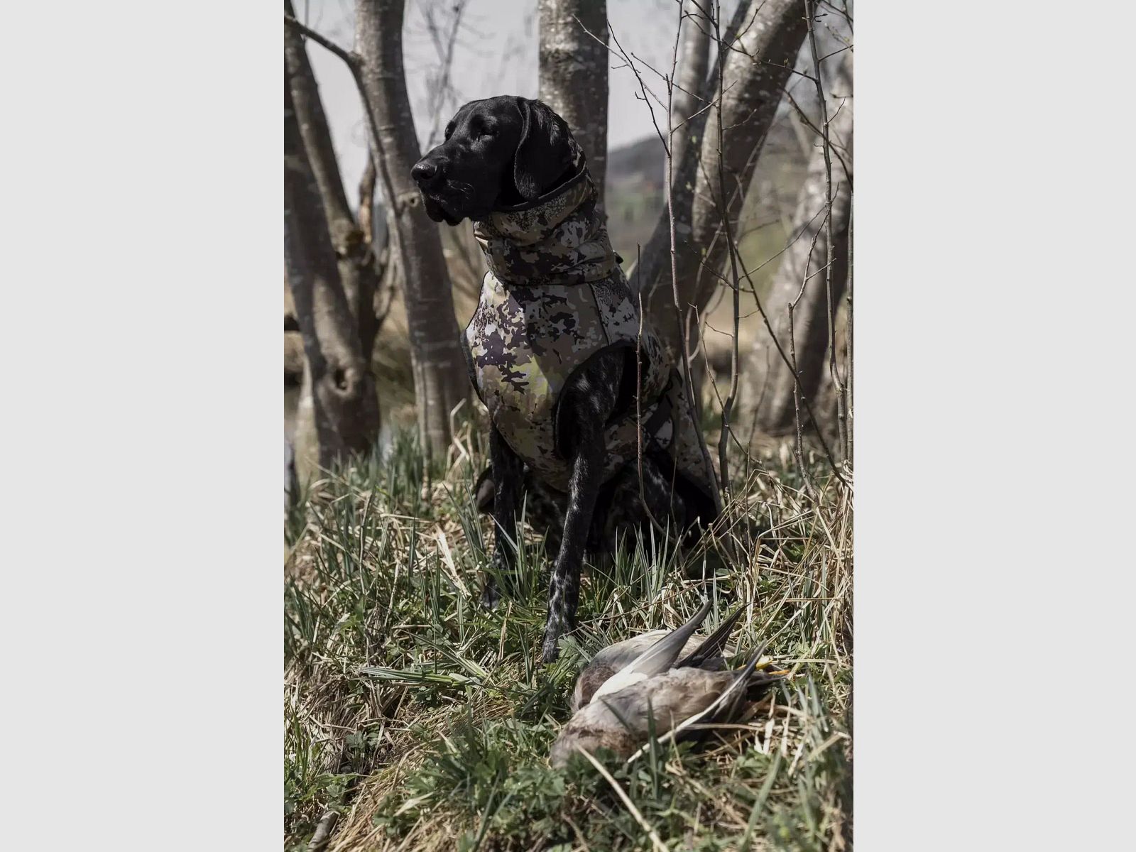 Blaser Hundeponcho HunTec Camo