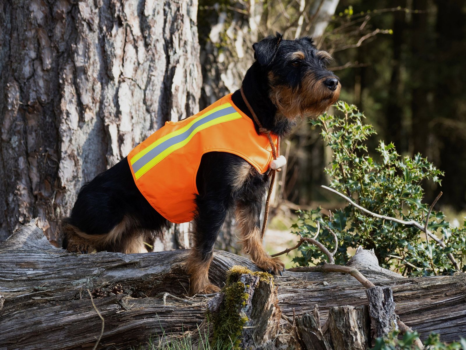 Aduro Hond Waarschuwingsvest