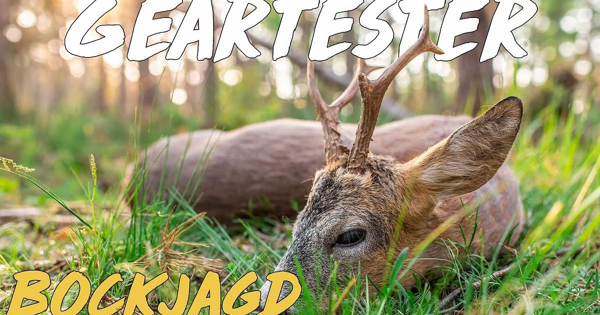 Geartester Bockjagd - Geartester Bockjagd