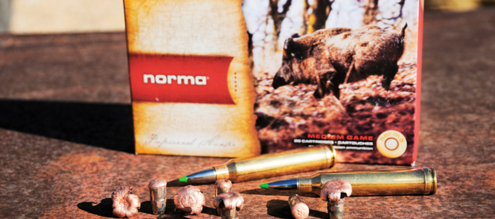 De nieuwe NORMA Ecostrike