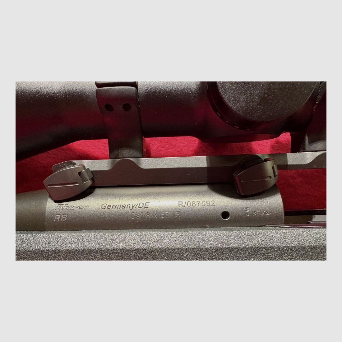 Blaser R8 Professional Success